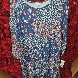 Mudd NWT Girls Floral Blue Dress with Floral Accents Size 14